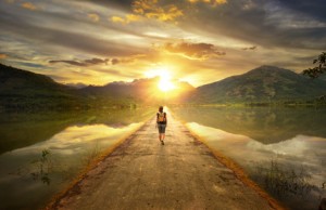chemin-evolution