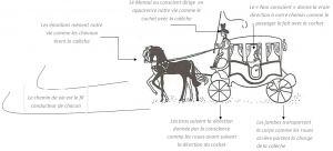 calèche-numerologie