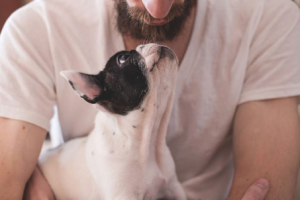 les-messages-de-nos-animaux