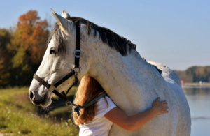 messages-des-animaux