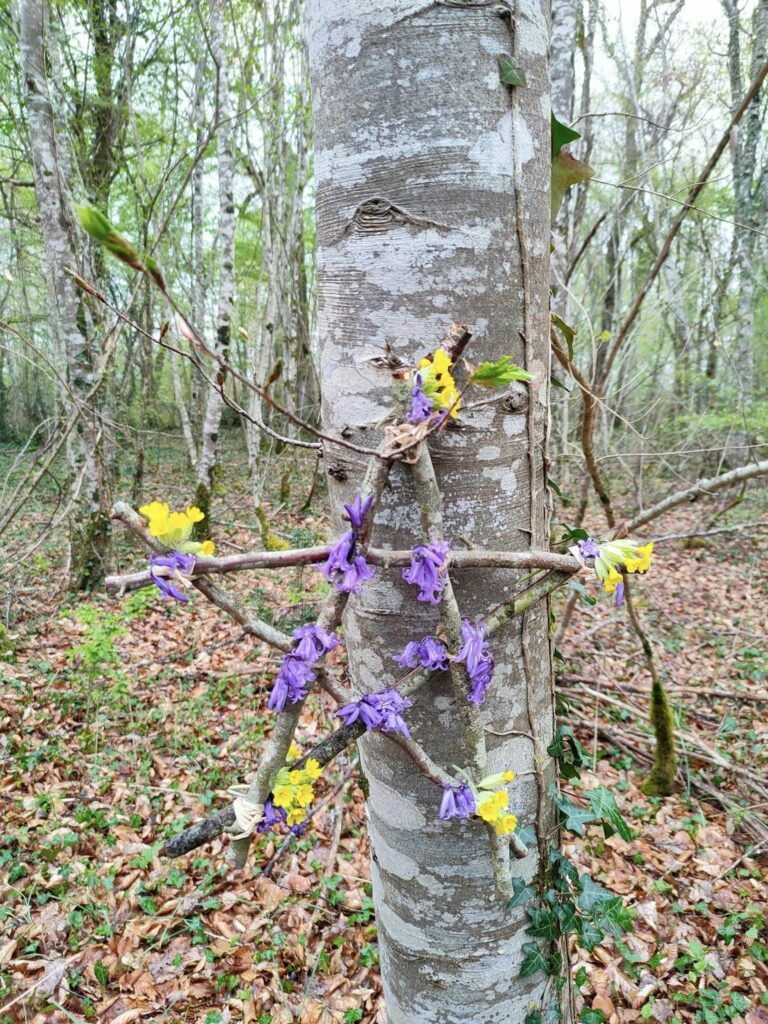 pentagramme-naturel-fleurs