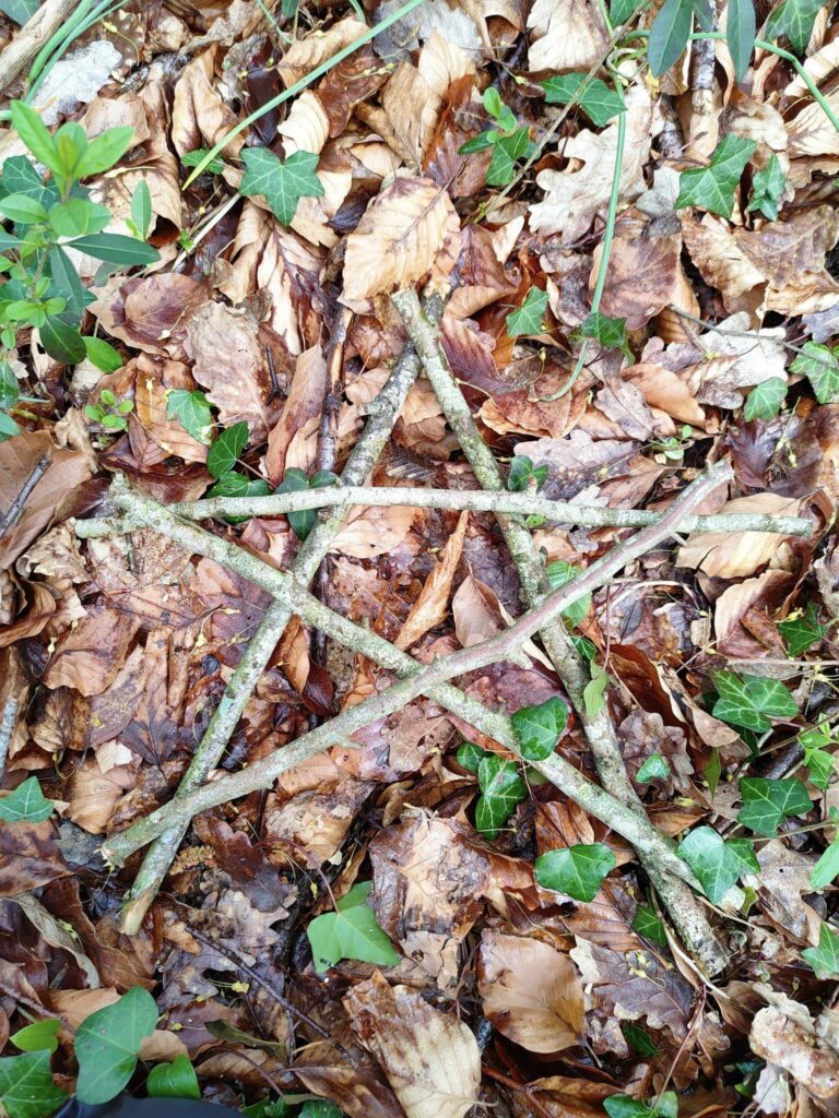 pentagramme-naturel-bois
