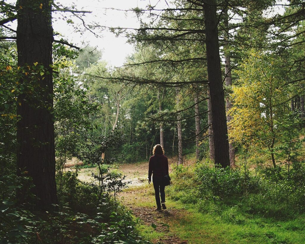 bains-de-foret-magiques